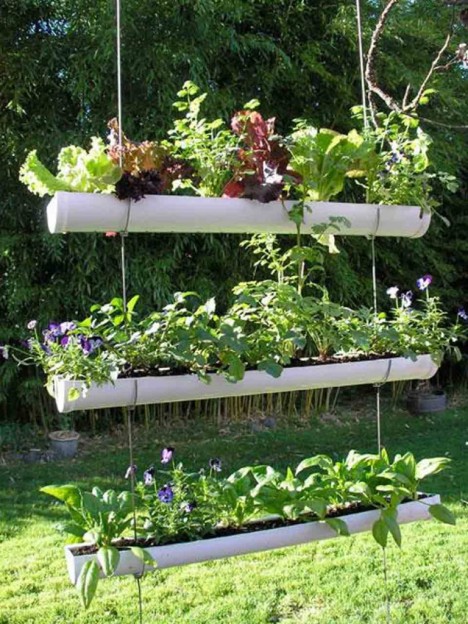 Small Space Gardening Images 3